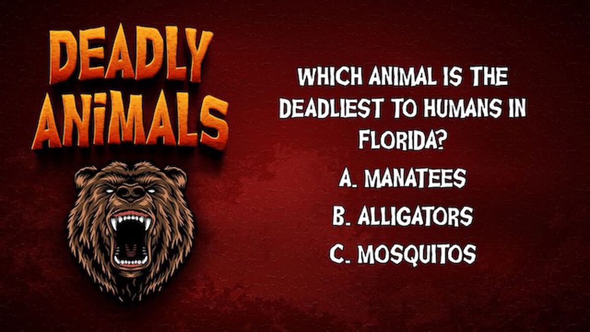 Deadly Animals image number null